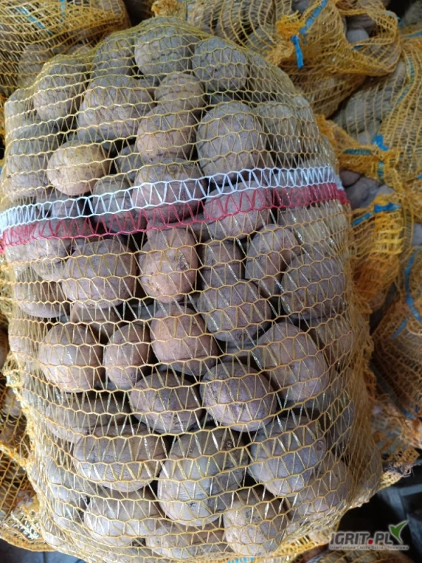 /images/posts/2025/04/2004782/nd3Ibs6QyHLR9Ep36IXFenHqs28H7obWa37ggKMr.jpeg