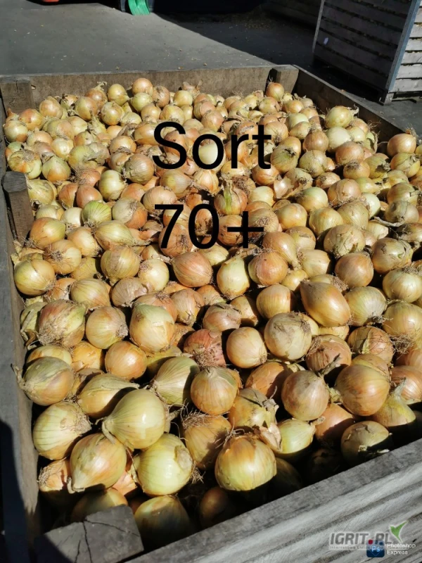 /images/posts/2025/07/2030162/HyPJxz97Y32cnOgPnCaruWdjKnQsdxDl3IBoGBXn.jpeg
