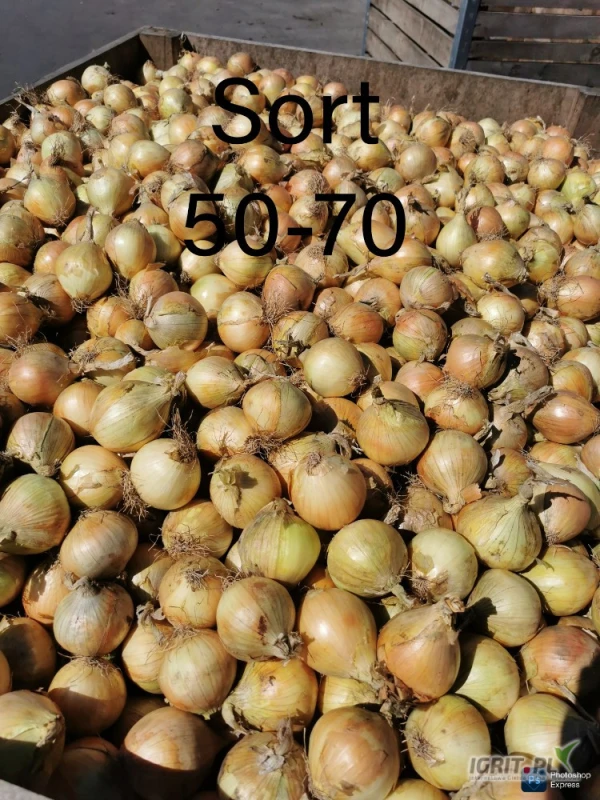 /images/posts/2025/07/2030162/E8uEBkgBCYGiH6o4aC1S5F8C8JDjwNaFcWjT89kP.jpeg