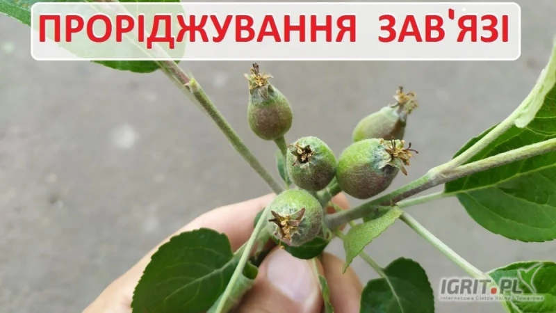 /images/posts/2025/07/2030184/xb2DT92k98rWh27mb8NV1H9zatdRgSPMSQDUdvuG.jpeg