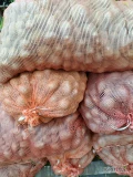 Sprzedam ziemniaki paszowe 40gr kontakt 793760822