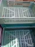Kupię skrzynki plastikowe nowe lub używane wzór jak na zdjęciu 