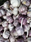 Sprzedam czosnek marketowy, suchy 4,5 cm - 5 cm. Więcej informacji pod numerem 884 632 625 
