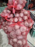 Sprzedam burak ćwikłowy okrągły kaliber 5-8. Pakowany w woreczki 10 kg. 0,8zł/kg.
