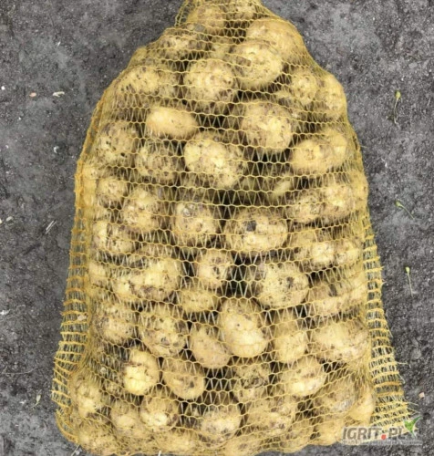 /images/posts/2024/07/1878817/ijgIJGZLjUFsuuMFghck1uQgdfIHBtRXtR7RjJDj.jpeg