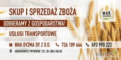Kupię kukurdzę szybki odbiór płatność na załądunku. 