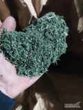 Sprzedam pokrzywę zbierana że stanu naturalnego duże ilości 