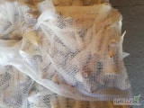 Sprzedam ostatnia tona pietruszki. 