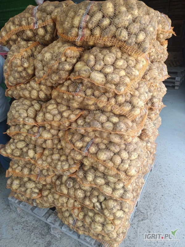 /images/posts/2025/06/2019280/cnhTMkpw9s2o6bi2L4UUYnkaEP1MPhImmNKtk8De.jpeg