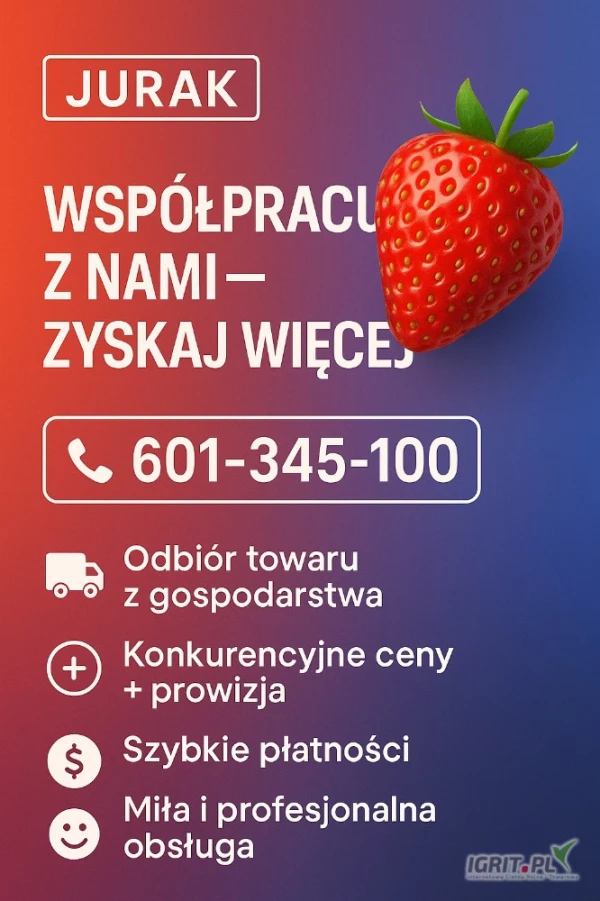 /images/posts/2025/05/2007587/NPDpdlb6I2NbCcbqaxwKMplKEzwrr9bLlFC4LDVi.jpeg