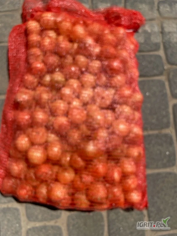 /images/posts/2025/06/2026690/FgWfhm4R4dgd3fFcQZumHsMkpINfRvnQVHUUNcby.jpeg