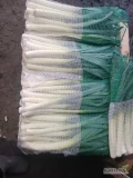 Sprzedam 500 kg ładnego pora zworkowany po 5 kg