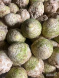 Sprzedam seler od 0,40 - 1,2 kg może być brudny lub myty. Ilości tirowe. Zdjęcia po umyciu 