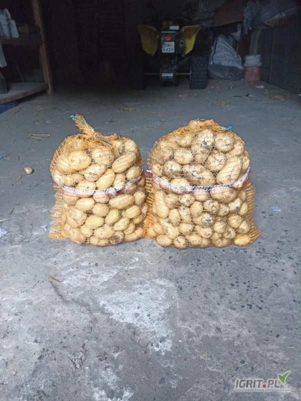 /images/posts/2025/06/2019553/J7ibL1AoaImBQat9y8c4i5JXKwNXrH1G1pKte6vE.jpeg