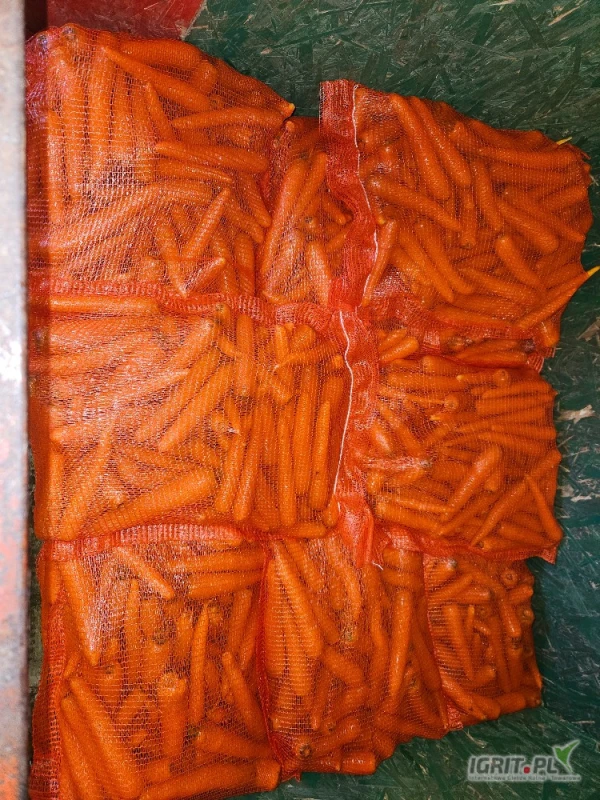 /images/posts/2025/07/2031194/9ZH9rXfl9h7uyhuFQTI2rPUje62Hz1wWIe8pVQS1.jpeg
