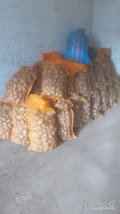 Sprzedam około 1200 kg ziemniaków paszowych, pakowane w worki po 30 kg, ziemniaki pogryzione, przecięte, zielone itd. Cena 30 groszy...