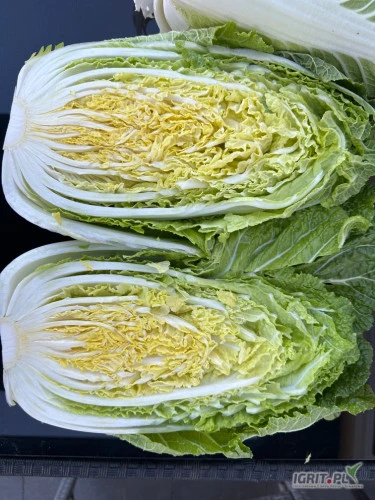/images/posts/2024/12/1945090/Ku9bRhDKan00YGdJXmiGWZsHtrH8bcDoV8v5z2QY.jpeg