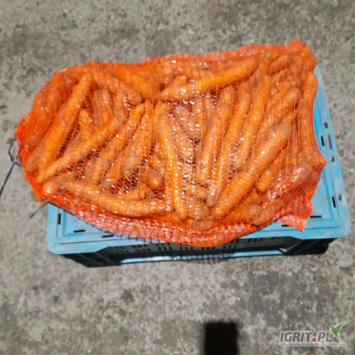 /images/posts/2025/01/1962109/NMR5gtddpe53QhWbAo1lnB0I8LgdveELMprWXGSQ.jpeg