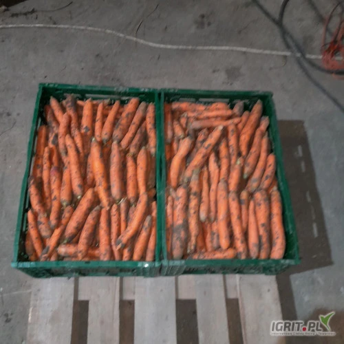 /images/posts/2025/01/1962109/YInYAybl94c1IKXkd4rJS45KlH5WOFT1pmasO7cm.jpeg