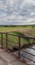 Oferuję dzierżawę łąki 0.56 ha w Gnieżdżewie (koło Pucka).
