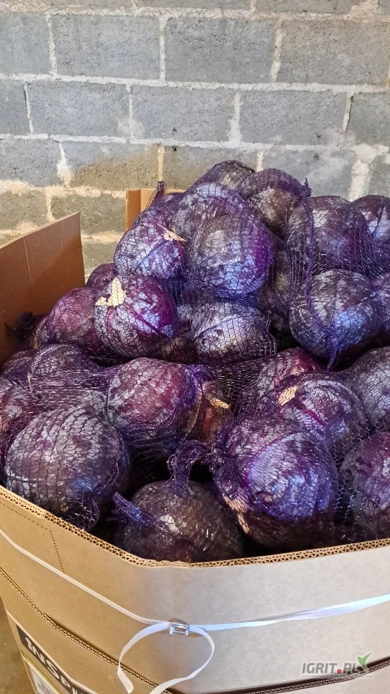 /images/posts/2025/07/2031594/cuJRYW3BMrlwMPhsFihUkrsGKCVlYxQd5hqAjJhf.jpeg
