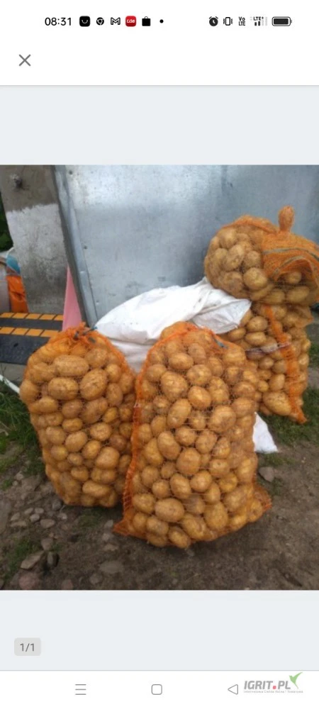 /images/posts/2025/07/2031662/Neqr4GSd1254nyOzL3Kms6VfvsOy6LhNwA2rYyeu.jpeg