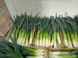 Sprzedam pora 10kg łuszczka ilości paletowe 