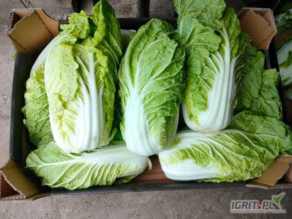 /images/posts/2025/05/2008772/MQfMkjMNKgfw14H4WAExWu2tSuawd6B5Hmf31Hyp.jpeg