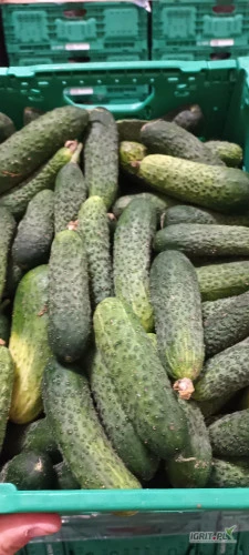 /images/posts/2024/07/1878059/1GFuqa4DptwJC32PkaimB6LhEPWfqn4WocERuHhK.jpeg