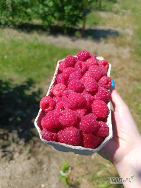 /images/posts/2025/07/2032101/j7KNhePpf16xhYuElT5h9mz1UCCfreIDAqf7PGWw.jpeg