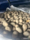 Sprzedam Soraya 3,5-5,5 cm świeże.Big Bag 4 x1100 kg Miżluwisc kupna mniejszej ilości .Lokalizacja Witonia łodzkie .Możliwy dowóz .
