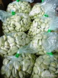 Witam, sprzedam bób pakowany po 0,5 kg