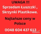 Skrzynki 49x29x11,5/12 49x29x12,5/13 49x29x13,5/14 50x30x12 50x30x13 50x30x14 60x40x10 60x40x11/13 60x40x17 

