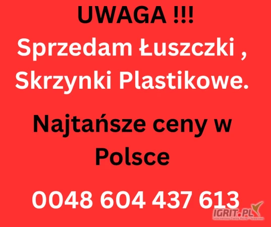 /images/posts/2025/07/2032301/iKPi1Kmz8lQ0LCNaw044ul8jTalUIZfp844meNgl.jpeg