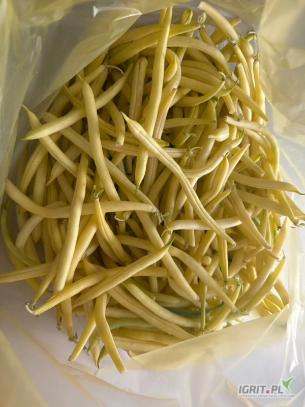 /images/posts/2025/07/2032333/9ZwOPCGJvuEyxqWDHSvSgIrBYqWxxOFomEJJiJVQ.jpeg