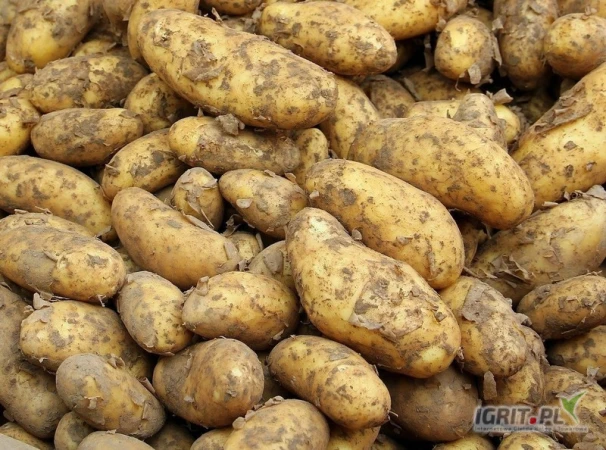 /images/posts/2025/07/2032341/ePeYElUPOiWh8SOTcEVg5NNOGefZuAiZHpoBX5Z6.jpeg
