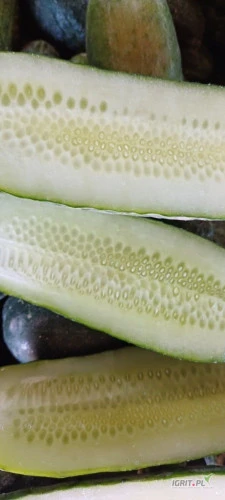 /images/posts/2024/07/1886091/452SepjCUXLRwLIkRs3LlQ31Q1odHzVEoFV1lwsk.jpeg