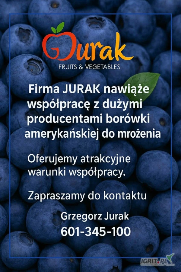 /images/posts/2025/07/2032541/Gv23q7raoUx4ZLmEdC5TueVZWwoc4IlaAPEoXQr9.jpeg