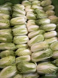 Sprzedam drobną pekinkę 300-400 gram. Posiadam 40 skrzyń. 