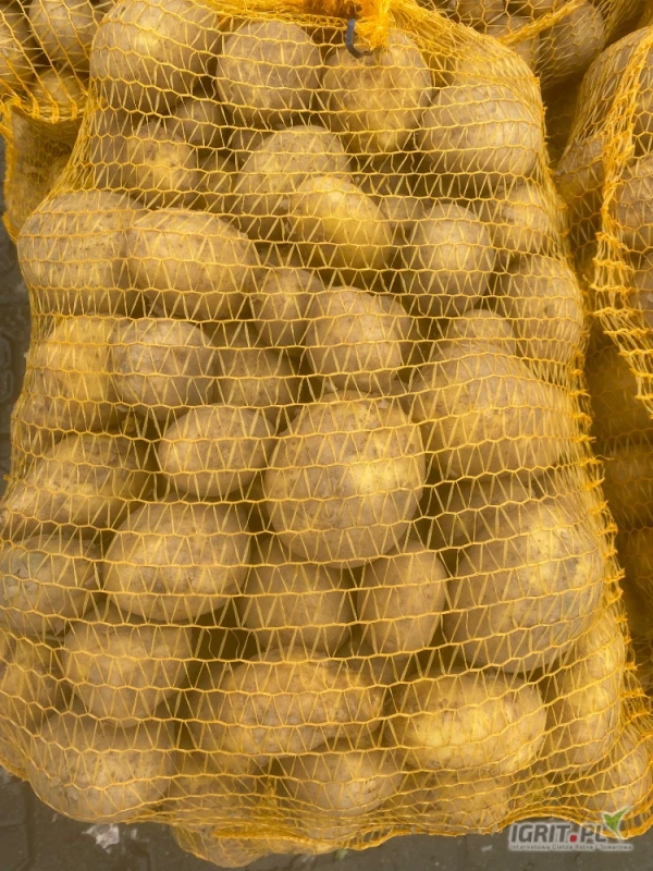 /images/posts/2025/07/2032563/FJHIG28xgo9gDzsjYpXm1dKsqWOv0q82h5hNzvf4.jpeg