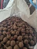 Sprzedam buraka drobnego do 4.5cm po koszu pakowanego w big bag