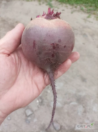 #