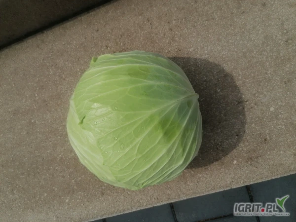 /images/posts/2025/07/2032756/VuhlNFXZt1QOA8Y6Nd50xsenc46ZS1sWGpuxw2kw.jpeg