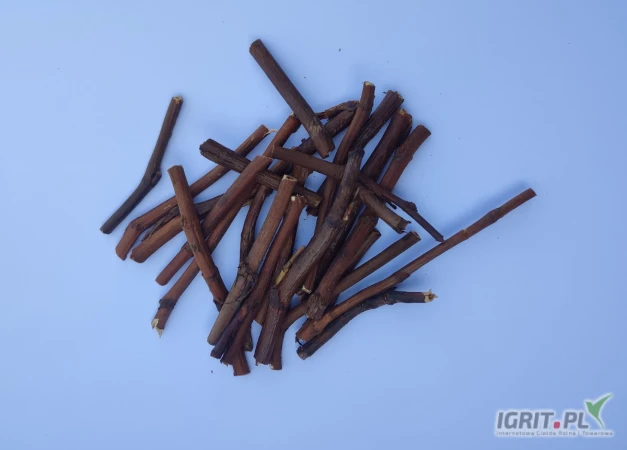 /images/posts/2025/07/2032862/UTyszIxLjFdsx0Ca7kvFpvJgqNUtrV7V7nyxSseW.jpeg