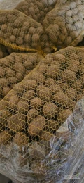 Sprzedam ziemniaki paszowe 930 kg.