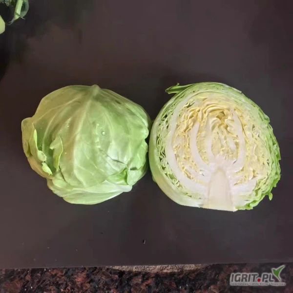 /images/posts/2025/07/2033071/j0GH0vQTNmxw1VRr7zFHLRx8va72I54od0enK7bp.jpeg