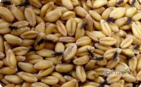 /images/posts/2025/04/1999358/bSWWZifguJexLPQrl19De3ovFFwdoxKfgaXNowk1.jpeg