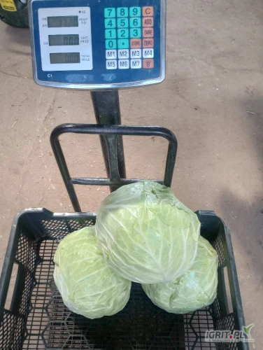 /images/posts/2024/07/1881317/Jb2P72Jnc0WdFSA4mAiFHEFVaKu4bS9VGmsVXYjh.jpeg