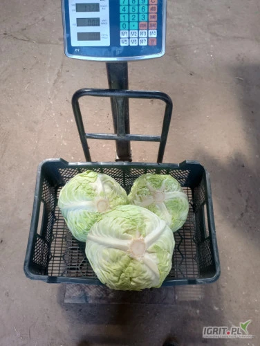 /images/posts/2024/07/1881317/zolokelcBzjiQipVepWrsGn1XitvdxIPySibZLY2.jpeg