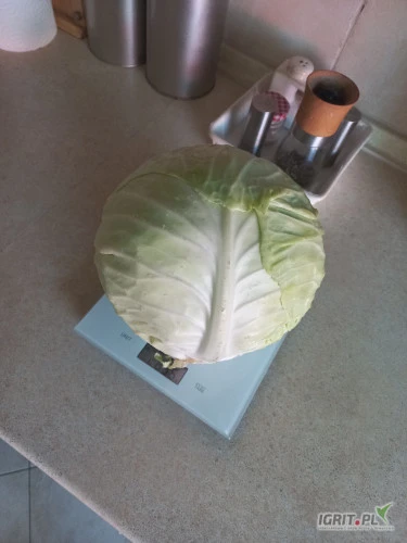 /images/posts/2024/07/1884000/XE2yxy422pADzFwNkEuyfL27Y8glqdzXgaTb7f8X.jpeg